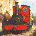Narrow Gauge Loco